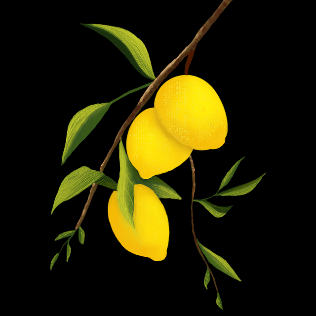 全景聚焦!海角社区app下载热搜锋芒(新手必看)