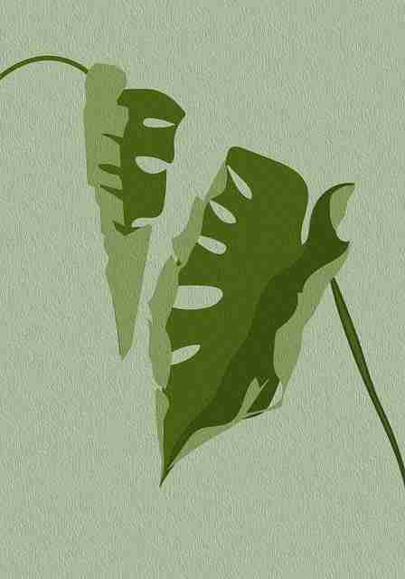 硬核探索!糖心vlog入口官网影像魅力(多维剖析)