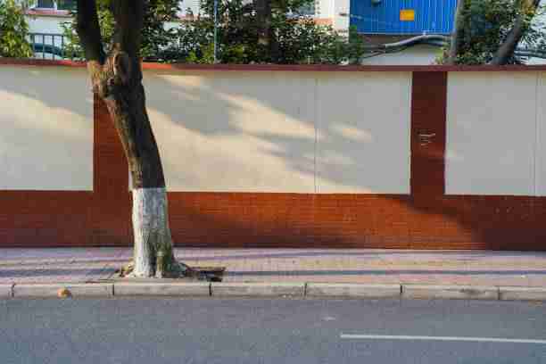 【p站官方官网】沉浸式冲突焦点追踪 - 看完秒懂,p站ぽざにゃん