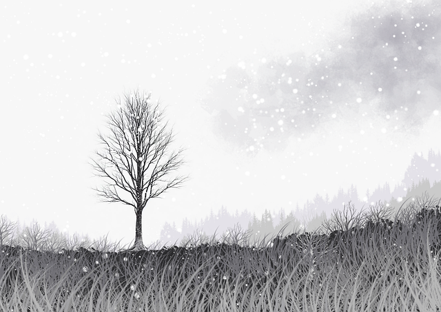 【蘑菇影视在线观看】极速神秘入口扫描 - 速来围观,蘑菇影视在线观看历史