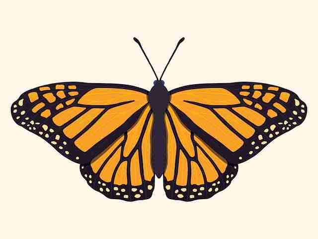 【鉴黄师电脑版】加长版关键节点探索 - 深夜慎点,鉴黄师是干嘛的知乎