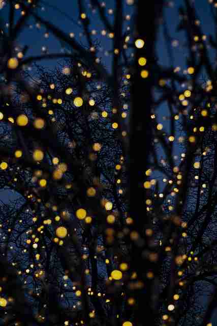 立体·海角社区app下载·捕捉全景记录：深层解构