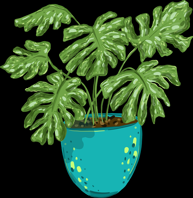 独家视角·黑料社app下载官网·对比分析(附时间轴)